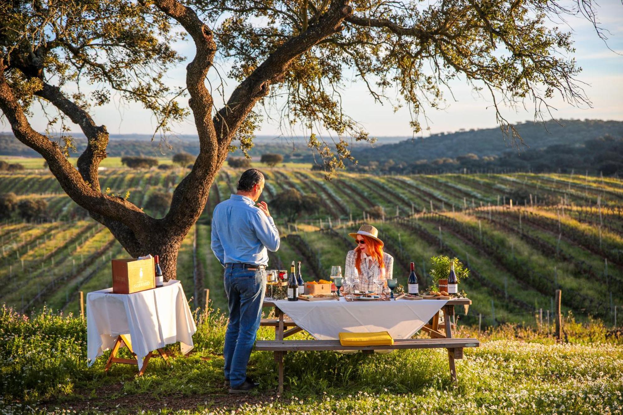 Herdade Do Sobroso Wine&Luxury Boutique Hotel Pedrogao  Exterior foto