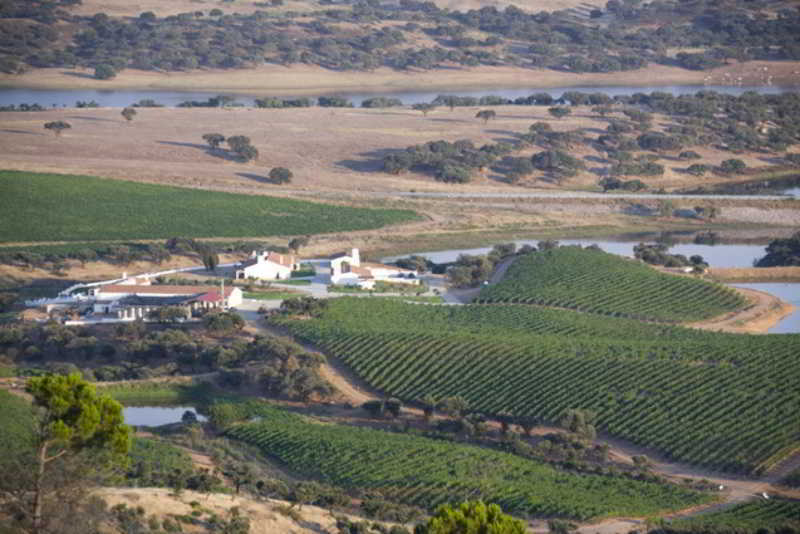 Herdade Do Sobroso Wine&Luxury Boutique Hotel Pedrogao  Exterior foto